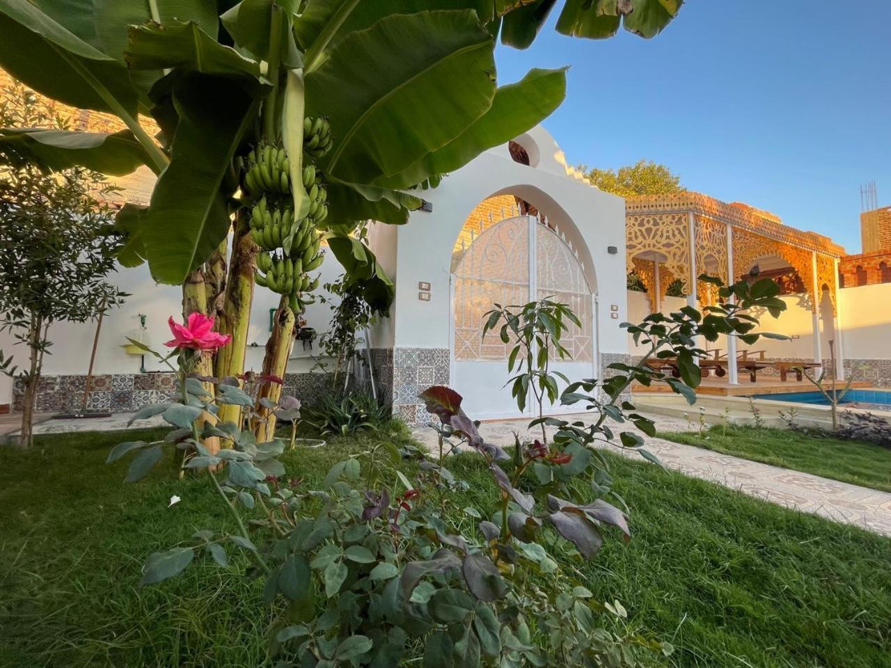 Villa Kemet Jazirat al Awwamiyah Εξωτερικό φωτογραφία