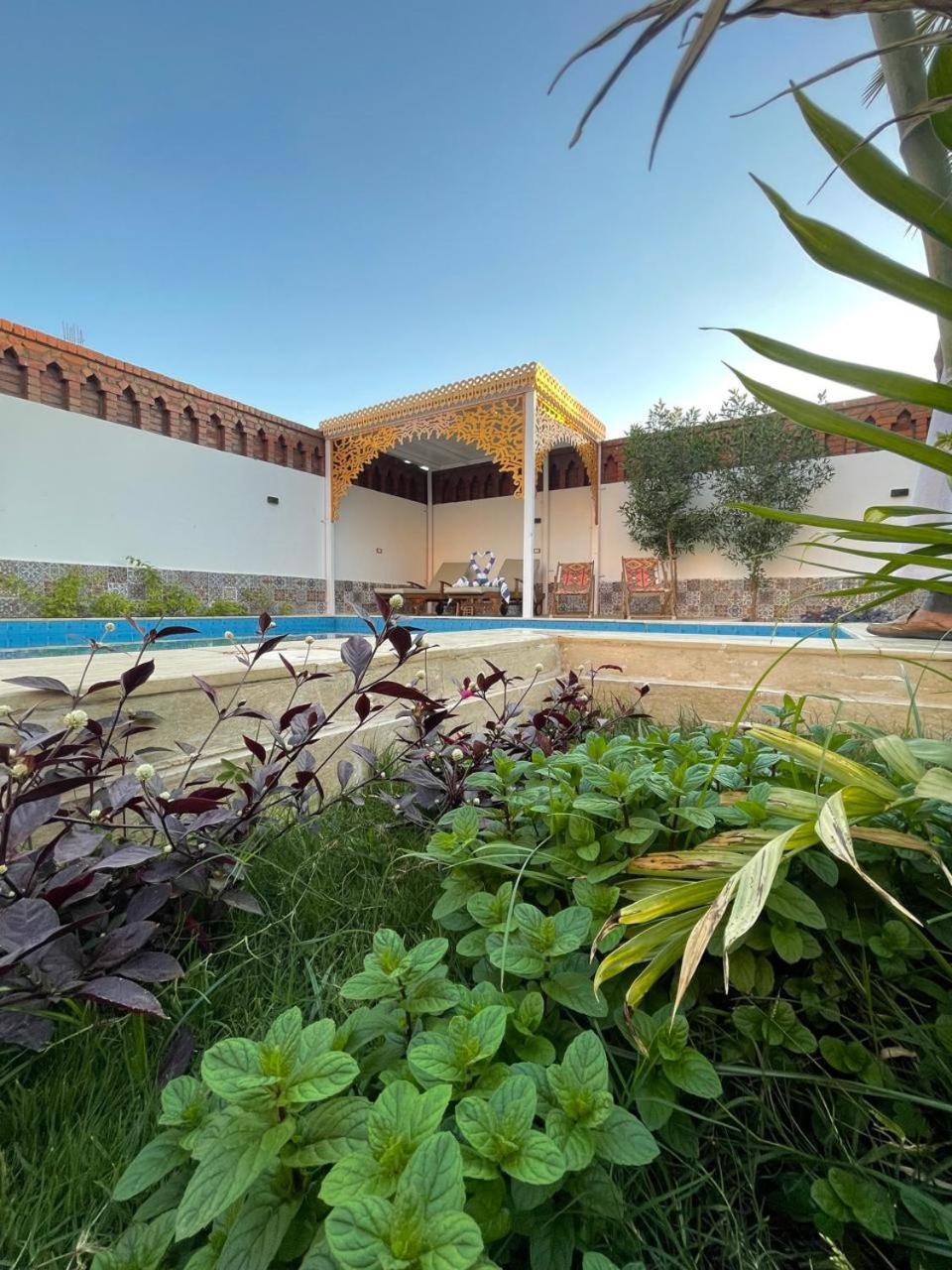 Villa Kemet Jazirat al Awwamiyah Εξωτερικό φωτογραφία